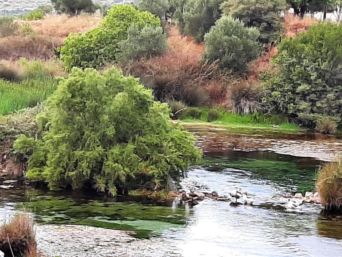 Aloe Villa Chania Crete Jeorjoúpoli Eksteriør bilde