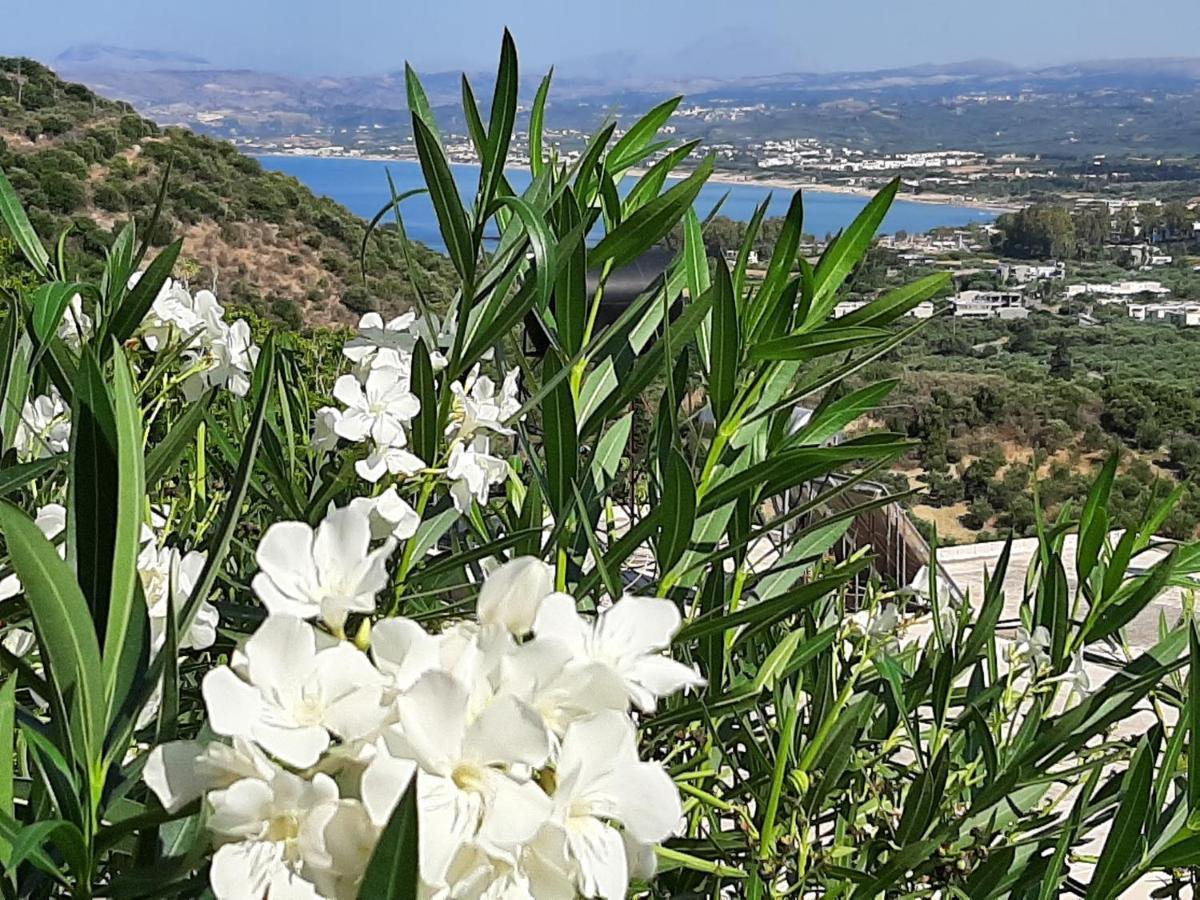 Aloe Villa Chania Crete Jeorjoúpoli Eksteriør bilde