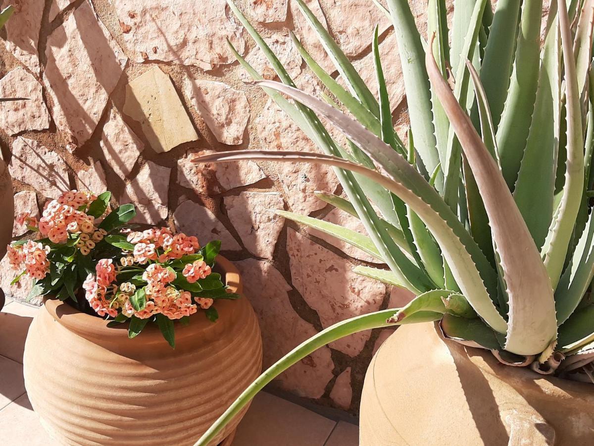 Aloe Villa Chania Crete Jeorjoúpoli Eksteriør bilde