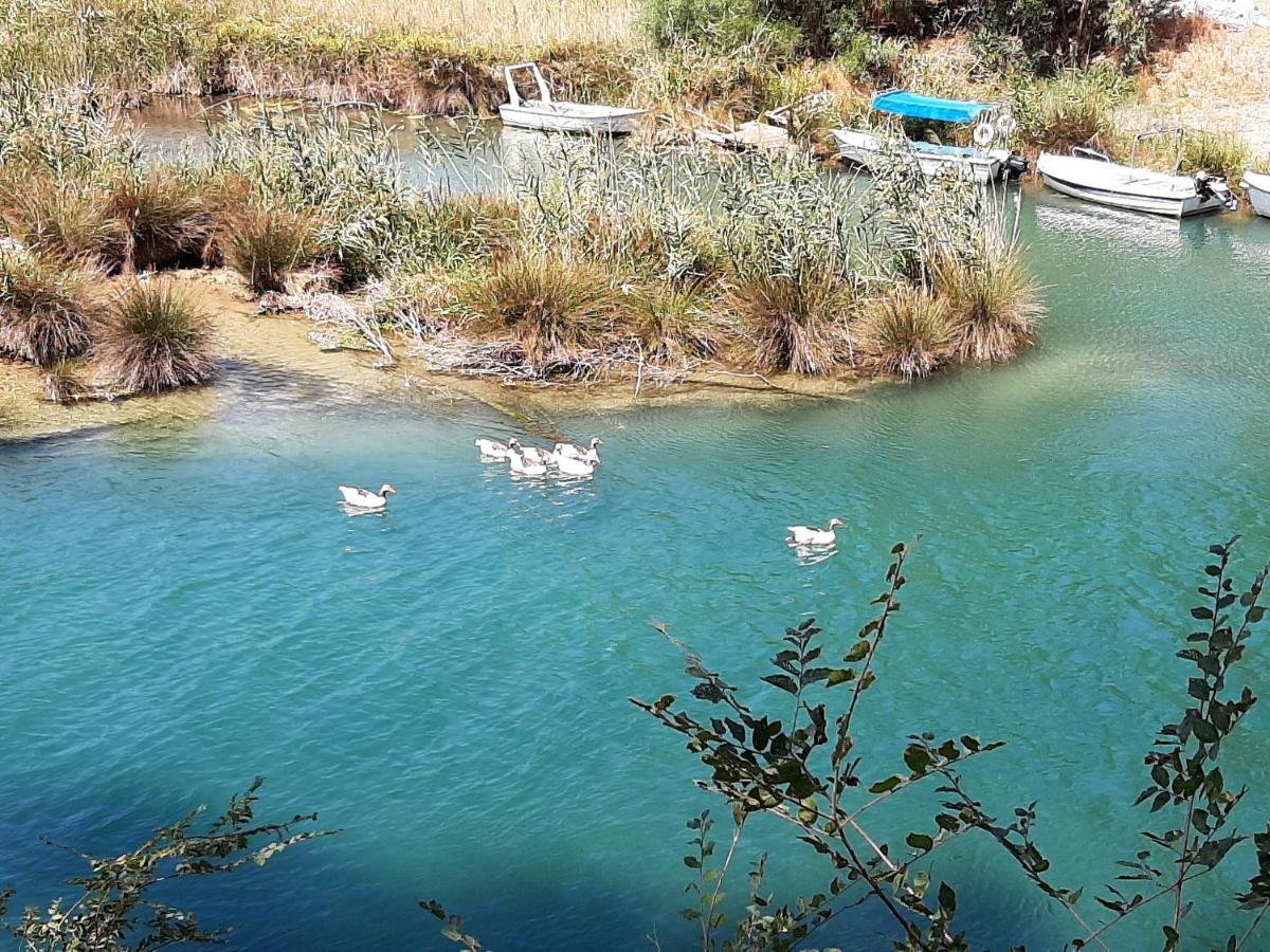 Aloe Villa Chania Crete Jeorjoúpoli Eksteriør bilde